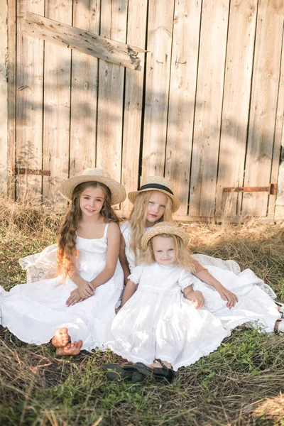 Śliczne Małe Dziewczynki Blond Długimi Włosami Polu Letnim Zachodzie Słońca — Zdjęcie stockowe