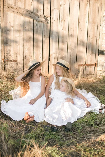 Schattige Kleine Meisjes Met Blond Lang Haar Een Zomer Veld — Stockfoto