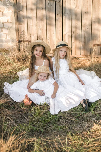 Lindas Niñas Con Pelo Largo Rubio Campo Verano Atardecer Vestidos — Foto de Stock