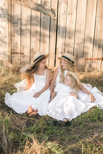 Schattige Kleine Meisjes Met Blond Lang Haar Een Zomer Veld — Stockfoto