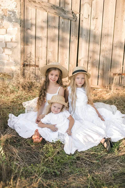 Schattige Kleine Meisjes Met Blond Lang Haar Een Zomer Veld — Stockfoto