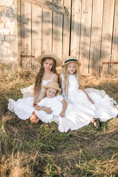 Lindas Niñas Con Pelo Largo Rubio Campo Verano Atardecer Vestidos — Foto de Stock