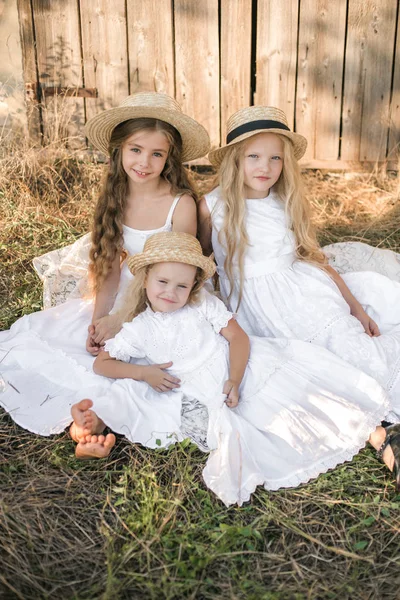 Śliczne Małe Dziewczynki Blond Długimi Włosami Polu Letnim Zachodzie Słońca — Zdjęcie stockowe