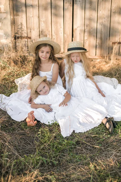 Schattige Kleine Meisjes Met Blond Lang Haar Een Zomer Veld — Stockfoto