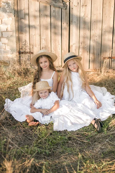 Meninas Bonitos Com Cabelos Longos Loiros Campo Verão Pôr Sol — Fotografia de Stock