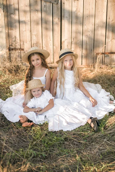 Schattige Kleine Meisjes Met Blond Lang Haar Een Zomer Veld — Stockfoto