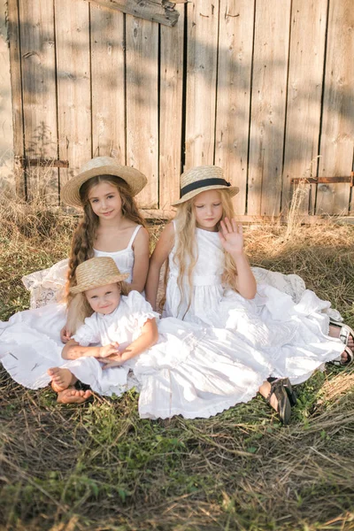 Meninas Bonitos Com Cabelos Longos Loiros Campo Verão Pôr Sol — Fotografia de Stock