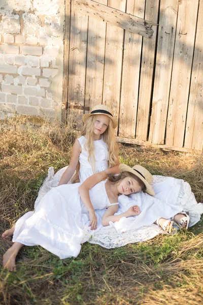 Schattige Kleine Meisjes Met Blond Lang Haar Een Zomer Veld — Stockfoto