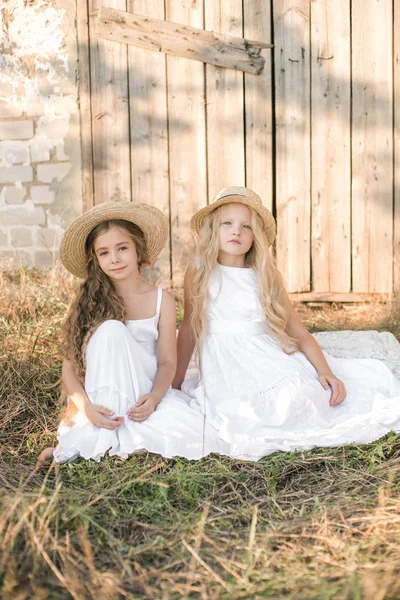 Ragazze Carine Con Capelli Lunghi Biondi Campo Estivo Tramonto Abiti — Foto Stock