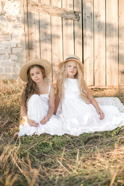 Schattige Kleine Meisjes Met Blond Lang Haar Een Zomer Veld — Stockfoto