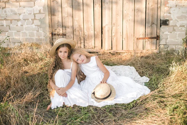 Mignonnes Petites Filles Aux Cheveux Longs Blonds Dans Champ Été — Photo