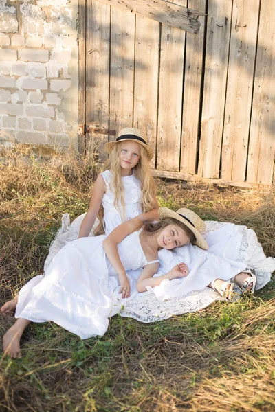 Schattige Kleine Meisjes Met Blond Lang Haar Een Zomer Veld — Stockfoto