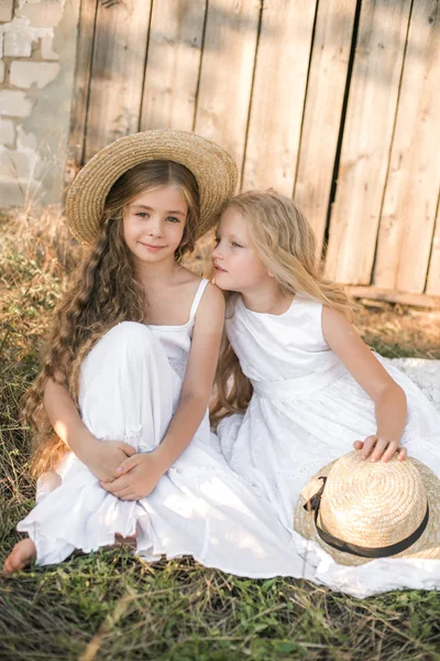 Schattige Kleine Meisjes Met Blond Lang Haar Een Zomer Veld — Stockfoto