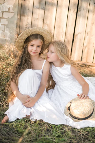 Schattige Kleine Meisjes Met Blond Lang Haar Een Zomer Veld — Stockfoto