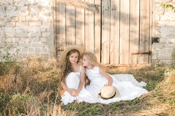 Милые Маленькие Девочки Длинными Светлыми Волосами Летнем Поле Закате Белых — стоковое фото