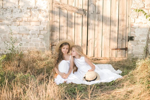 Meninas Bonitos Com Cabelos Longos Loiros Campo Verão Pôr Sol — Fotografia de Stock