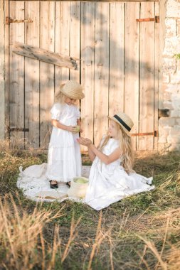 Yeşil elma ile bir hasır şapka ile beyaz bir elbise ile gün batımında bir yaz alanında bir kız kardeşi ile sarı uzun saçlı sevimli kız