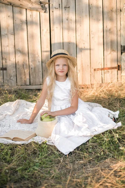 Menina Bonito Com Cabelos Longos Loiros Campo Verão Pôr Sol — Fotografia de Stock