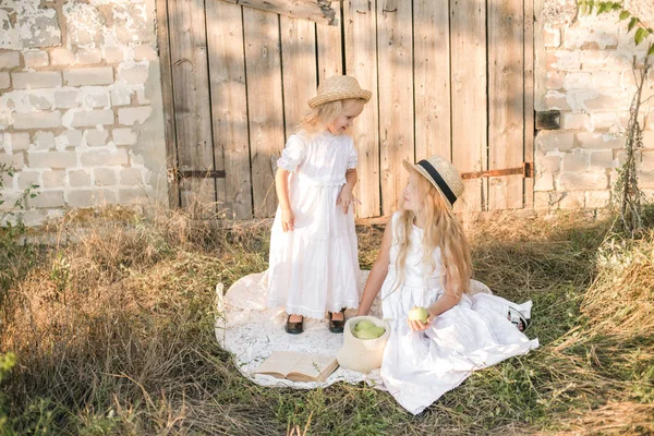 Schattig Meisje Met Blond Lang Haar Met Een Jongere Zus — Stockfoto