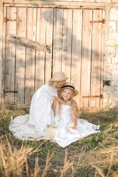 可爱的女孩与金发长发与妹妹在夏天的田野在日落与白色礼服与草帽与绿色苹果 — 图库照片