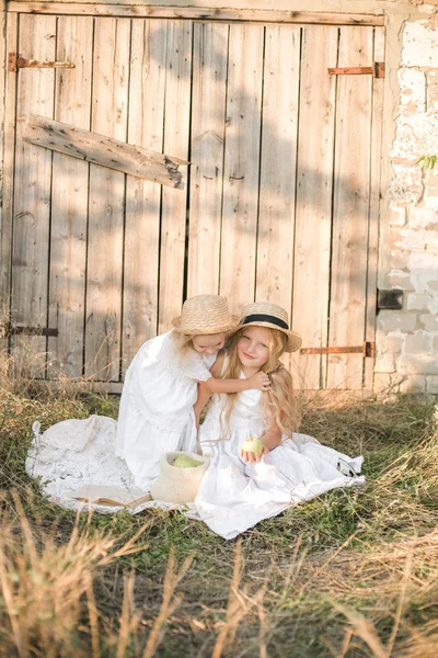 Schattig Meisje Met Blond Lang Haar Met Een Jongere Zus — Stockfoto