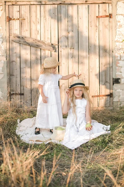 사과와 모자와 드레스와 일몰에 필드에서 여동생과 머리와 귀여운 — 스톡 사진
