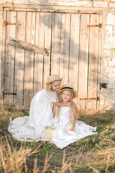 Schattig Meisje Met Blond Lang Haar Met Een Jongere Zus — Stockfoto