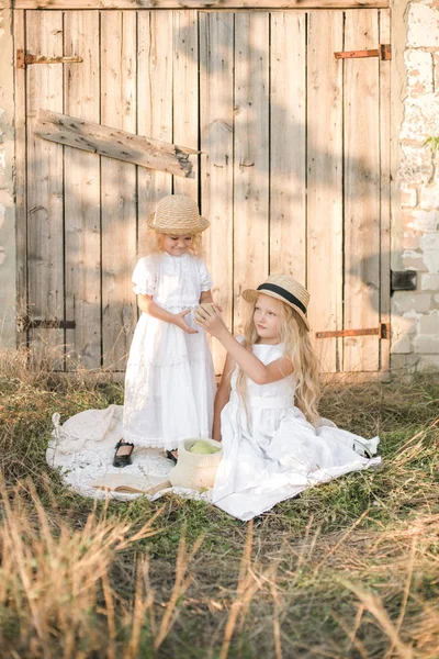 Söt Tjej Med Blont Långt Hår Med Yngre Syster Sommar — Stockfoto