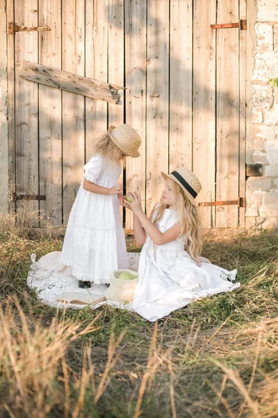 可爱的女孩与金发长发与妹妹在夏天的田野在日落与白色礼服与草帽与绿色苹果 — 图库照片