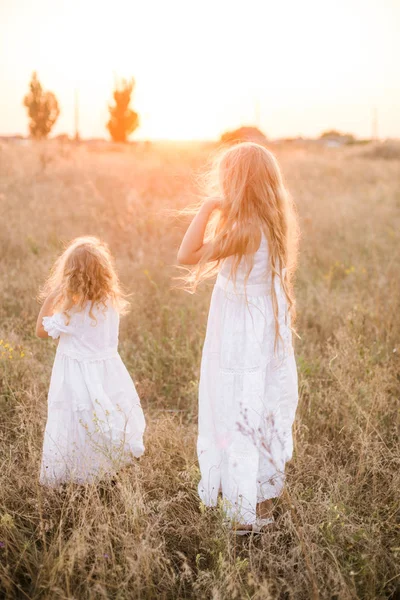 白いドレスを着た夕暮しの夏のフィールドで妹とブロンドの長い髪を持つかわいい女の子 — ストック写真