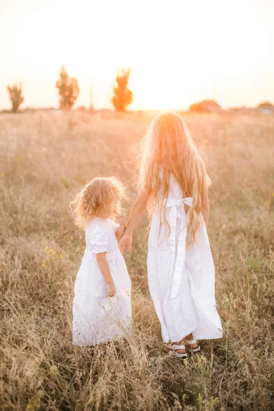 白いドレスを着た夕暮しの夏のフィールドで妹とブロンドの長い髪を持つかわいい女の子 — ストック写真