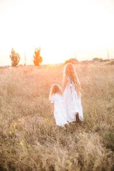 白いドレスを着た夕暮しの夏のフィールドで妹とブロンドの長い髪を持つかわいい女の子 — ストック写真