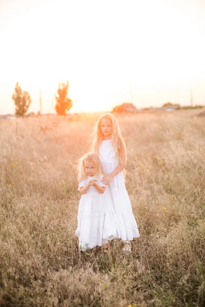 Cute Girl Blond Długie Włosy Młodszą Siostrą Polu Letnim Zachodzie — Zdjęcie stockowe