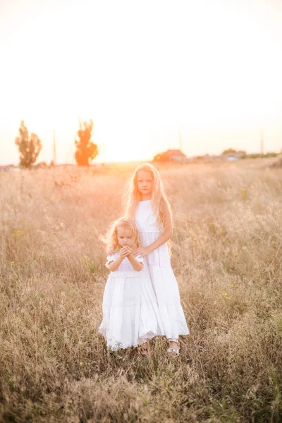 Cute Girl Blond Long Hair Younger Sister Summer Field Sunset — Stock Photo, Image