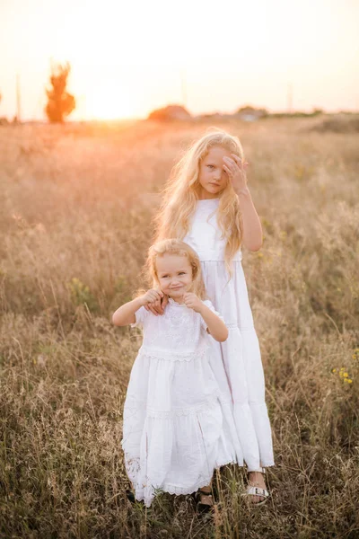 白いドレスを着た夕暮しの夏のフィールドで妹とブロンドの長い髪を持つかわいい女の子 — ストック写真