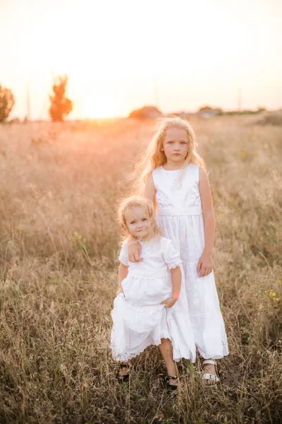 Schattig Meisje Met Blond Lang Haar Met Een Jongere Zus — Stockfoto