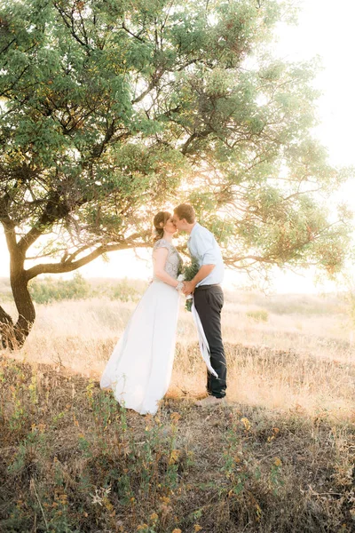 Elegante Gentile Sposo Elegante Sposa Tramonto Estate Matrimonio Coppia Innamorata — Foto Stock