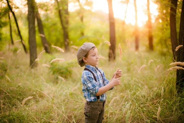 Liten Pojke Hatt Parken Sommaren Vid Solnedgången — Stockfoto