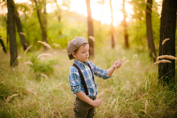 Kleiner Junge Mit Hut Park Sommer Bei Sonnenuntergang — Stockfoto