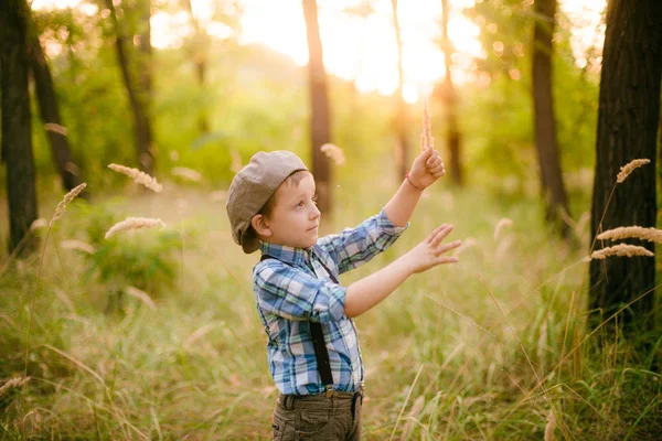 Little Boy Hat Park Summer Sunset — Stock Photo, Image