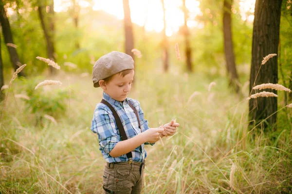 Little Boy Hat Park Summer Sunset — Stock Photo, Image