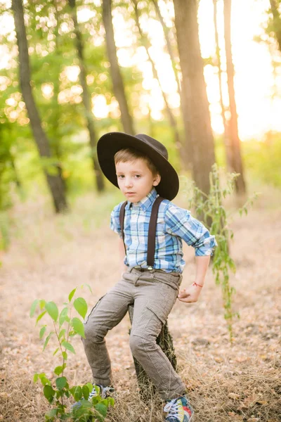 Kleine Jongen Een Hoed Het Park Zomer Bij Zonsondergang — Stockfoto