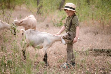Kır yaz içinde keçi ile bir hasır şapka küçük çocuk