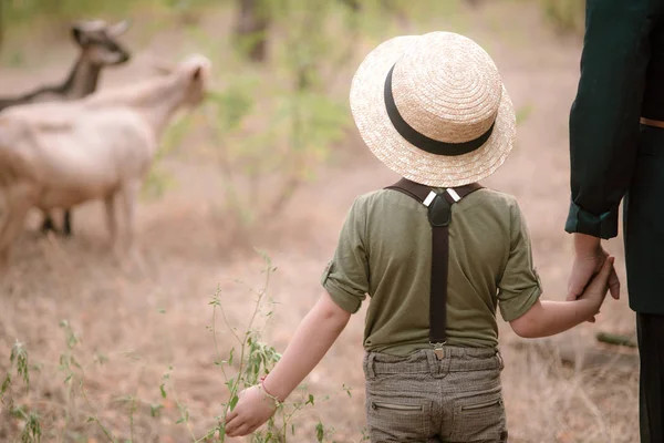 Little Boy Straw Hat Goats Summer Countryside — Stock Photo, Image