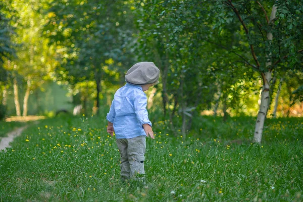 Niño Con Pelo Rubio Una Gorra Camisa Azul Verano Campo —  Fotos de Stock