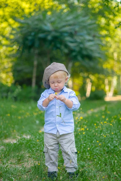 Маленький Хлопчик Світлим Волоссям Шапці Синій Сорочці Влітку Полі Квітами — стокове фото