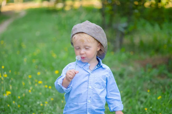小男孩与金发在帽子和蓝色衬衣在夏天在一个领域与花 — 图库照片