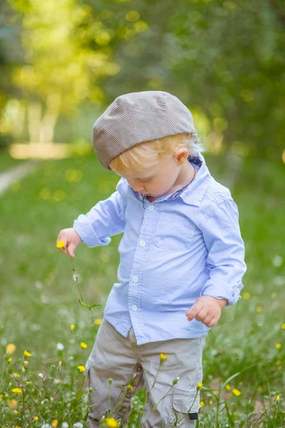 Little Boy Blond Hair Cap Blue Shirt Summer Field Flowers — Stock Photo, Image