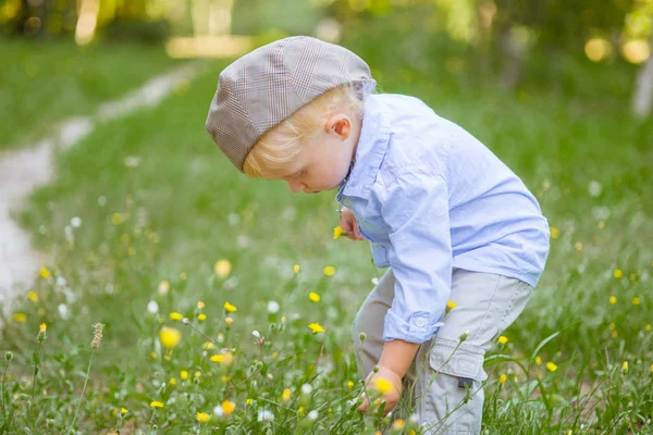 Little Boy Blond Hair Cap Blue Shirt Summer Field Flowers — Stock Photo, Image