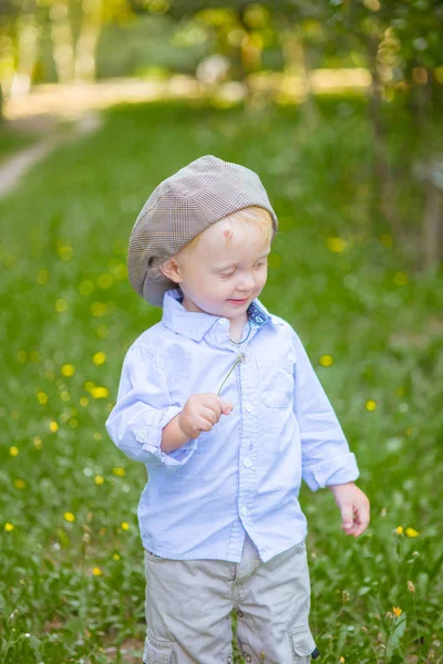 Malého Chlapce Plavými Vlasy Čepici Modré Košili Létě Poli Květinami — Stock fotografie